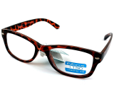 Berkeley Reading dioptric glasses +1.5 plastic orange-brown black spots 1 piece R4007-15 INfocus