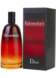 Christian Dior Fahrenheit Eau de Toilette for Men 100 ml