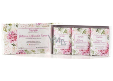 Iteritalia Hydrangea and white moss vegetable toilet soap 3 x 125 g, gift set