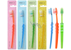 Spokar 3416 Clinic Medium Medium Toothbrush, Straight Cut and Precise Rounded Fibers