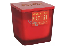 Heart & Home Nature Red apple with star anise scented candle large glass, burning time up to 40 hours 210 g