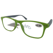Berkeley Reading dioptric glasses +2.5 green, grey side frames 1 piece MC2268