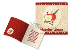 Nekupto Christmas card Apple 100 x 100 mm