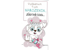 Nekupto Birthday Card Stay COOL Dog 116 x 220 mm 3493 K