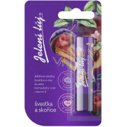 Regina Plum and Cinnamon Lip Balm - Deer Tallow 4.5 g