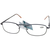 Berkeley Reading glasses +2.5 brown metal 1 piece MC2007