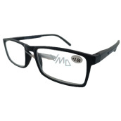 Berkeley Reading dioptric glasses +2,5 plastic black, sidebar blue stripe 1 piece MC2276