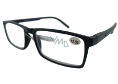 Berkeley Reading dioptric glasses +2,5 plastic black, sidebar blue stripe 1 piece MC2276
