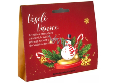 Albi Punch Spice in a Box - Merry Christmas with Euro Hook