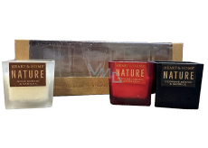 Heart & Home Nature New spices and vanilla 135 g + Red apple with star anise 135 g + Cedar wood and cinnamon 135 g, gift set of soy mini candles