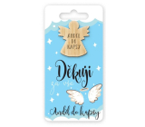 Nekupto Pocket Hug Angel Thank you for everything, pocket hug 6 x 12 cm