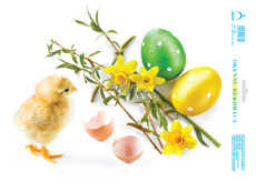 Arch Window film Easter chick with daffodils 33 x 24 cm