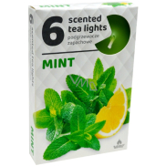 Tea Lights Mint Scented Candles 6 Pieces