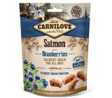 Carnilove Dog Salmon with blueberries delicious crunchy treat suitable for all dogs to support brain function 200 g