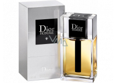 Christian Dior Homme Eau de Toilette for Men 100 ml