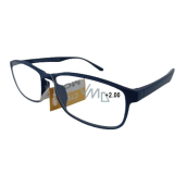 Berkeley Reading dioptric glasses +2 plastic blue 1 piece MC2269