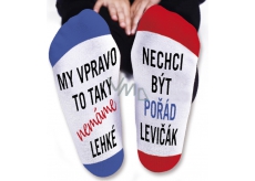 Nekupto Family gifts with humor Socks We right, size 39-42