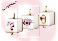 Lima Owls pink candle with decal white cube 45 x 45 mm 1 piece