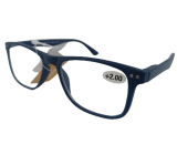 Berkeley Reading dioptric glasses +2 plastic blue 1 piece MC2268