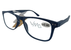 Berkeley Reading dioptric glasses +2 plastic blue 1 piece MC2268