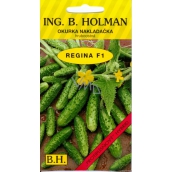 Holman F1 Regina cucumbers 2,5 g