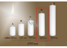 Lima Gastro smooth white pillar candle 60 x 220 mm 1 piece