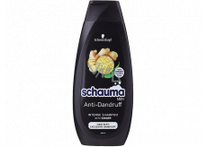 Schauma Men Anti-Dandruff anti-dandruff hair shampoo for men 250 ml