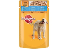 Pedigree Junior with Chicken and Rice in Jelly Pouch 100 g