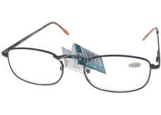 Berkeley Reading glasses +3.0 brown metal 1 piece MC2005