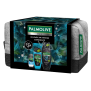 Palmolive Men Refreshing 3in1 Shower Gel 500 ml + Sport 3in1 Shower Gel 250 ml + Arctic Antiperspirant Deodorant Roll-On 50 ml + Cosmetic Bag, Men's Cosmetic Set