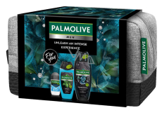 Palmolive Men Refreshing 3in1 Shower Gel 500 ml + Sport 3in1 Shower Gel 250 ml + Arctic Antiperspirant Deodorant Roll-On 50 ml + Cosmetic Bag, Men's Cosmetic Set